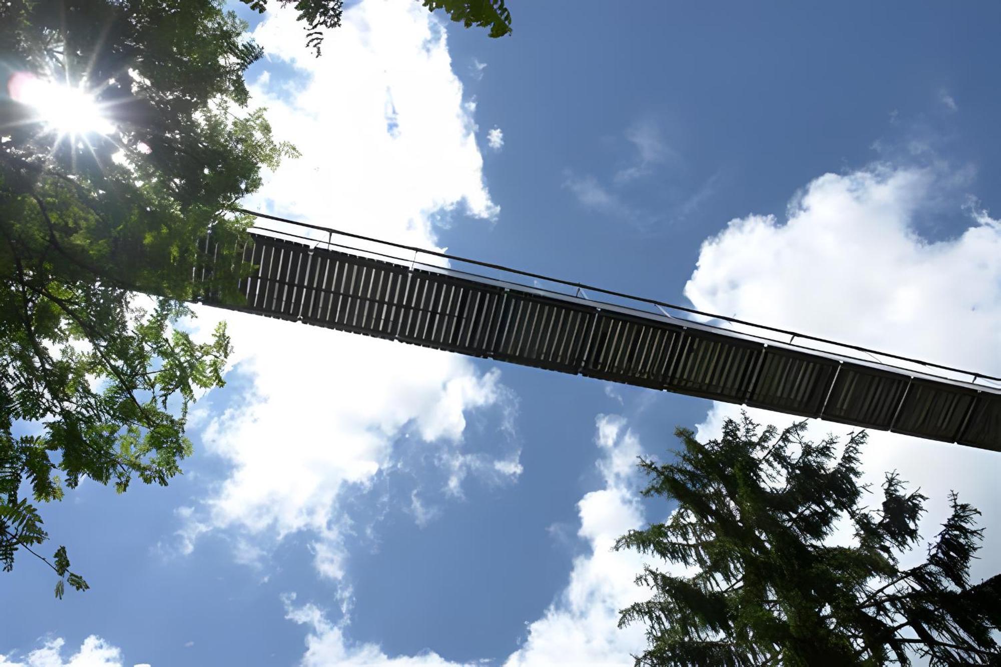Ferienhaus Voelkle Hinterzarten Eksteriør billede