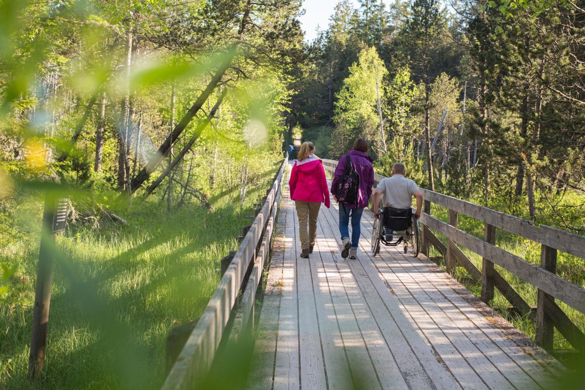 Ferienhaus Voelkle Hinterzarten Eksteriør billede